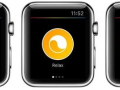 Apple WatchʵӦTop 5 Hueݿѡ